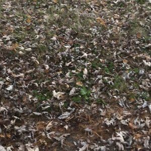 Meet your Posher, Latia